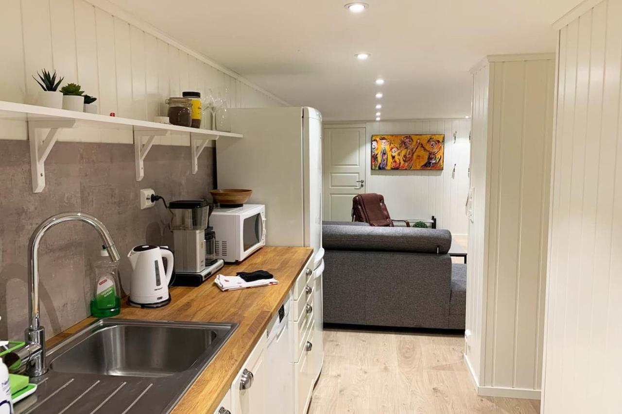 Newly Renovated Basement Apartment Sarpsborg Exterior foto